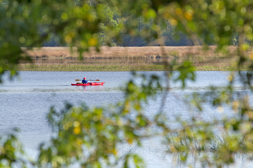 BC Kayak