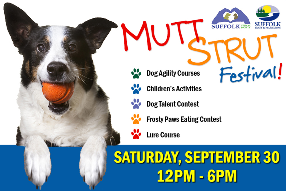 MuttStrut Calendar