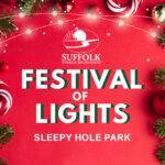 FestivalOfLights Calendar