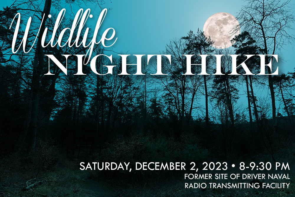 WildlifeNightHike Dec Calendar