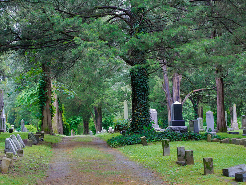 Cemetery tour