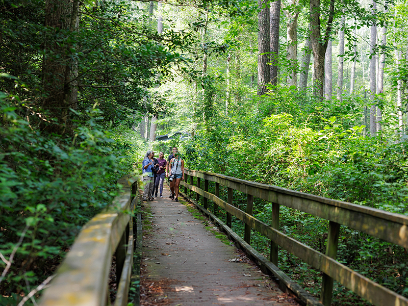 NatureStroll