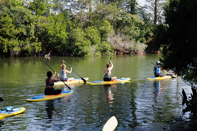 paddleboard