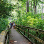 Nature Stroll Tour