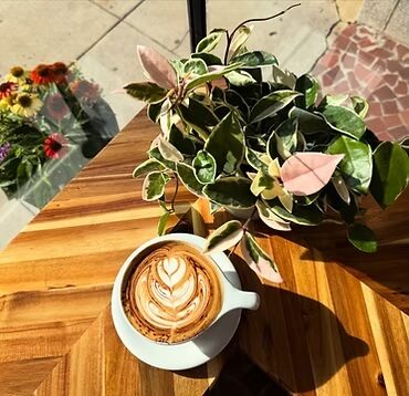 Cure Coffeehouse